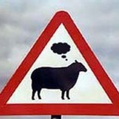 LeMoutonRetif