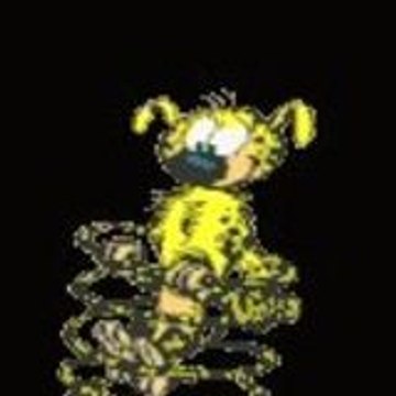 lolo_466