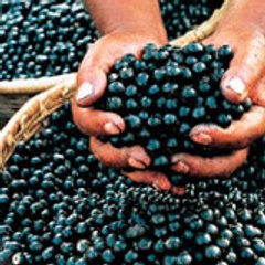Acai Review