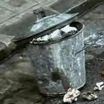 Ciné poubelles