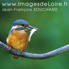 Jean François Souchard