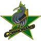 Rennes Cormorans Hockey Club