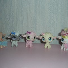 pet-manga-shop