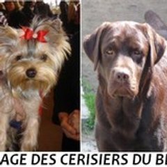 LEFORT sophie
