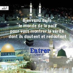Patrick Poivre d'avor