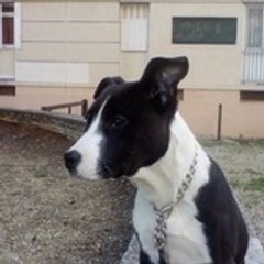 chanel et sky