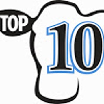 Mr.Top 10