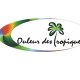 COULEUR DES TROPIQUES