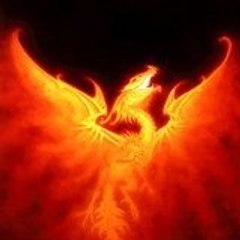 white phoenix