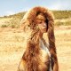 Henrietta-Aime-Fumer_Tv
