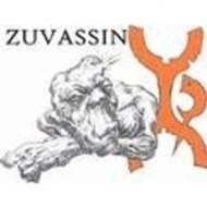 Zuvassin