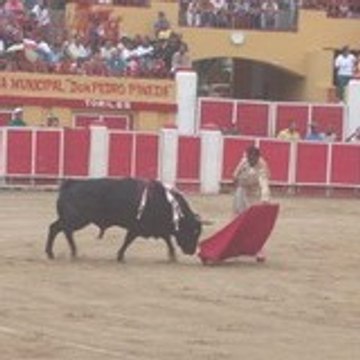 lafiestadelostoros.com.ve Web de Venezuela