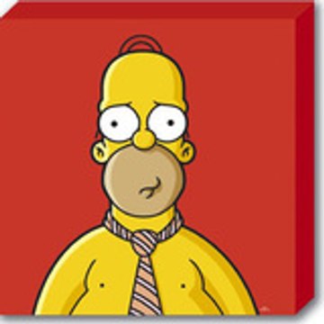SIMPSONS_VILLA_010