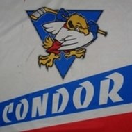 HK Condor (Tartu)