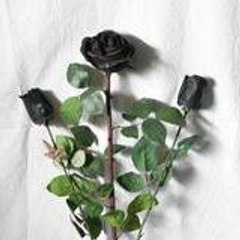 Black Roses On The Tomb