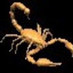 Ergican Emren Gülseren
