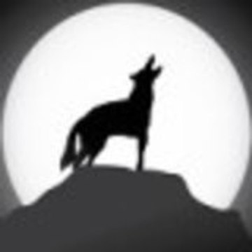 TheCoyoteReport