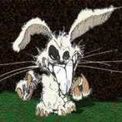 white_rabbit_fxv