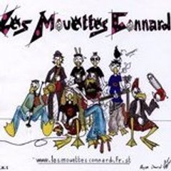 Les Mouettes Connard