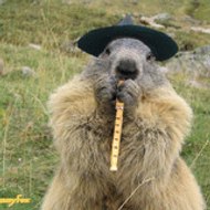 bounboun Aurevillyst