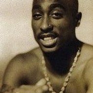 martini robin martini