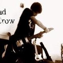 Shad Crow