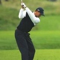 woods