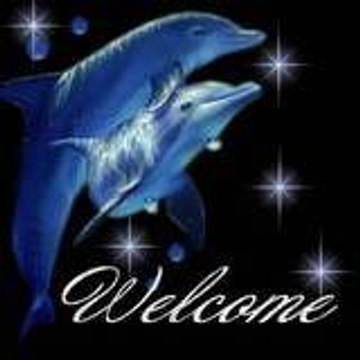 Veronique storez véronique