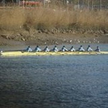 iulen