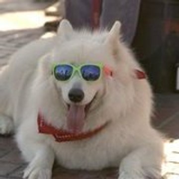 Jérôme Jérôme Grenouilloux