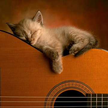 Gitar_Dersleri