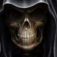 alex_544