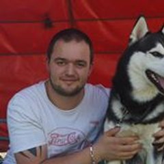 zdravko16