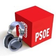 PSOE DE ANDUJAR AGRUPACIÓN MUNICIPAL