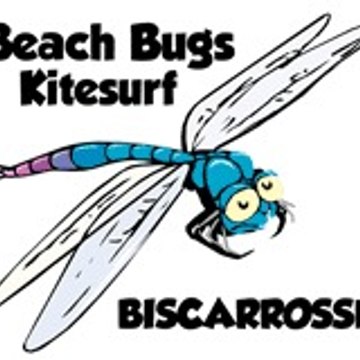 Beach Bugs
