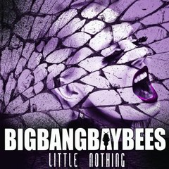 BIGBANGBAYBEES