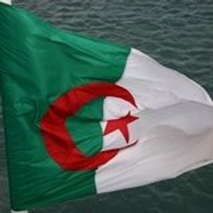 algeria-love
