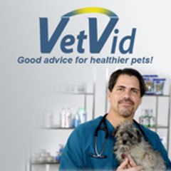VetVid