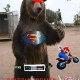 Grizzly Power