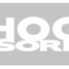 shockabsorberfocus