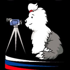 kennel Of Abigal Grace