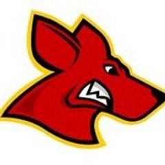 Kangourous de Pessac