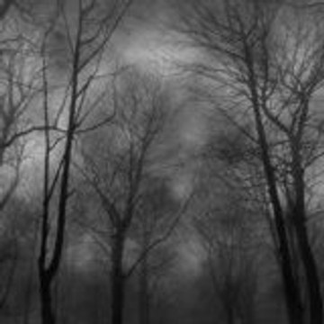 BlackAutumn