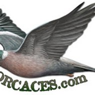 GREGORIO HERNANDEZ BAENA