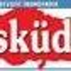 Üsküdar Gazetesii