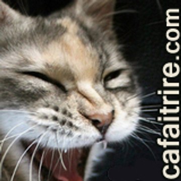 Compte Daily de Cafaitrire.com