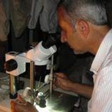 Ali Türk