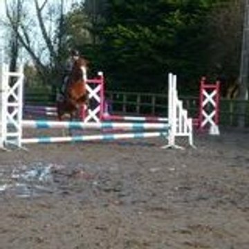 Joséphine Baudiffier