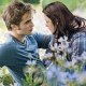 Twilight Eclipse Leaked
