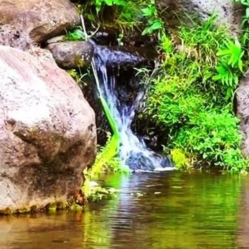 Relax